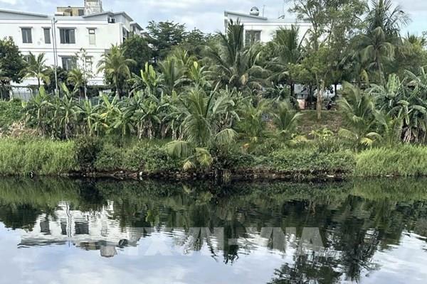 Xử lý kịp thời hiện tượng dầu loang trên sông Cu Đê (Đà Nẵng)