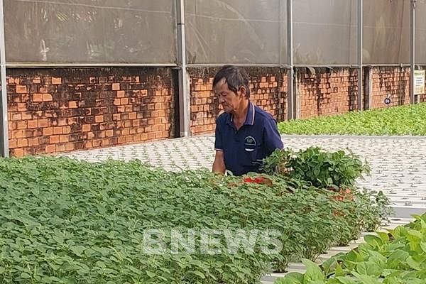 Một hướng đi phát triển nông nghiệp đô thị