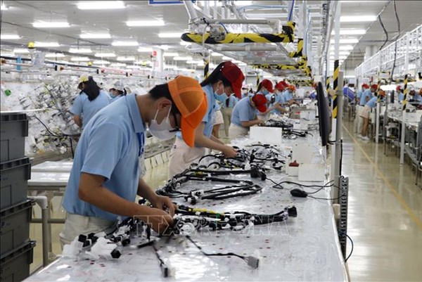 Vĩnh Long dự kiến dành 375,6 tỷ đồng cho khuyến công giai đoạn tới