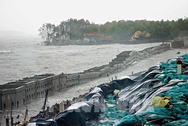 Từ ngày 5 - 14/1, đề phòng sạt lở bờ biển khu vực từ Gia Lai - Cà Mau