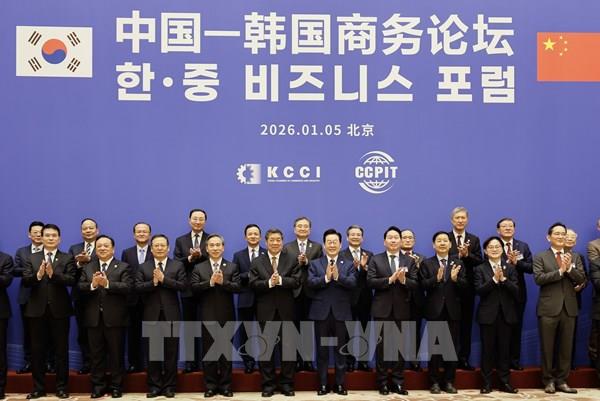 Hàn Quốc và Trung Quốc mở rộng hợp tác về hàng tiêu dùng và chuỗi cung ứng