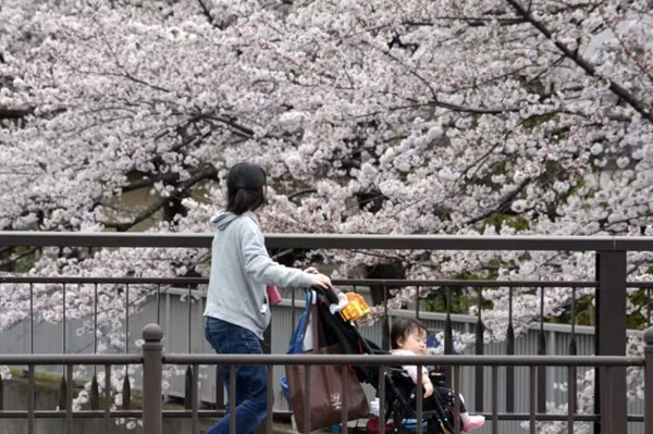 Nở rộ dịch vụ trông trẻ cho du khách nước ngoài tại Nhật Bản