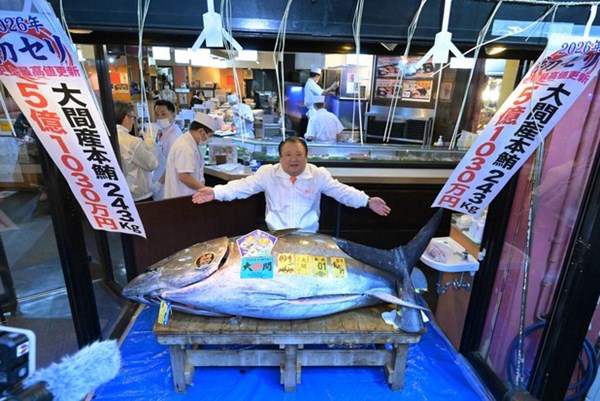 Nhật Bản: Một con cá ngừ vây xanh lập kỷ lục 3,2 triệu USD tại phiên đấu giá đầu năm