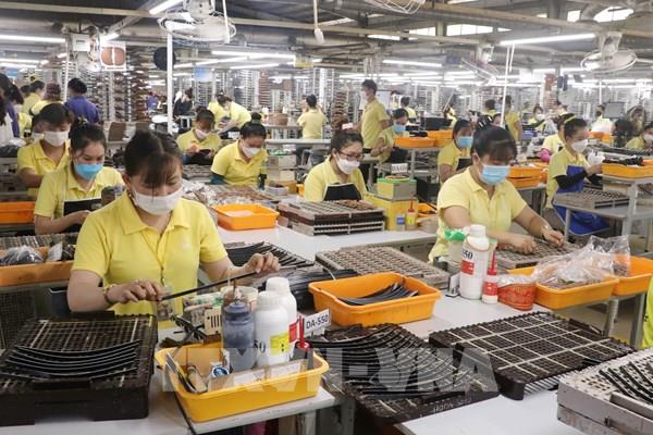 Lao động Việt Nam 2025: Việc làm tăng, thu nhập khởi sắc