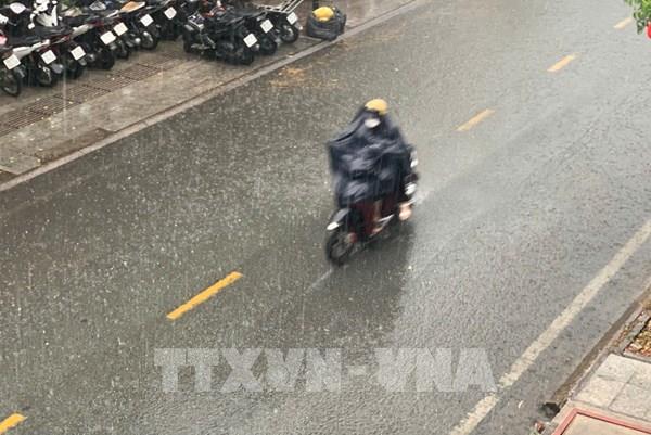 TPHCM: Mưa trái mùa giữa mùa khô