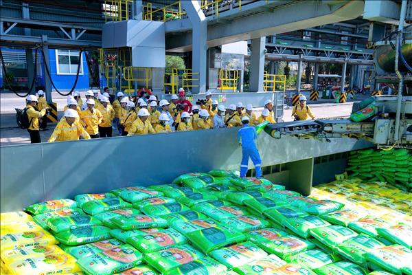Nhà máy phân bón Cà Mau chạm mốc 12 triệu tấn đạm ure