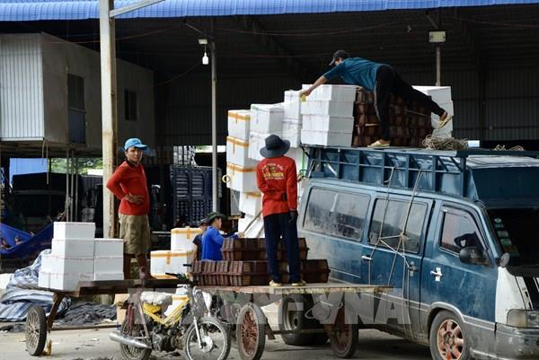 An Giang gia tăng xuất khẩu hàng hóa có hàm lượng chế biến sâu, công nghệ cao