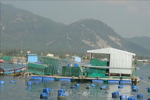 Khánh Hòa quy hoạch vùng nuôi biển công nghiệp