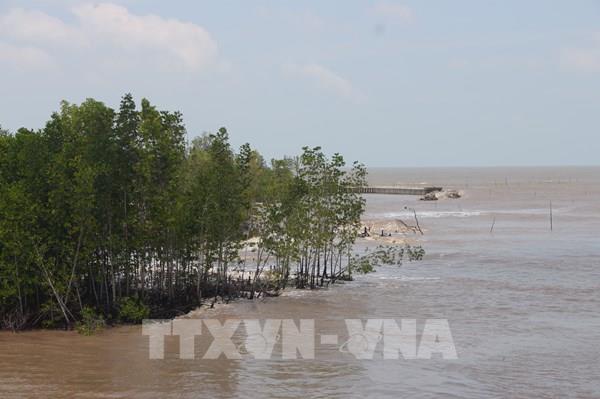Cà Mau đầu tư hơn 26.800 tỷ đồng chống sạt lở, bảo vệ kinh tế biển