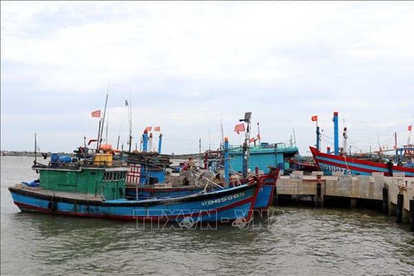 Ngư dân Quảng Trị vào vụ biển đầu năm, bảo đảm khai thác đúng quy định