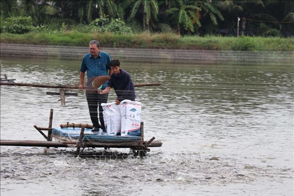 Vĩnh Long kêu gọi đầu tư nhiều dự án thủy sản