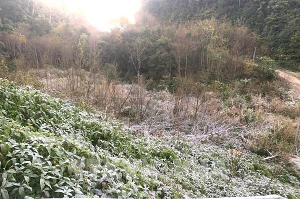 Nhiệt độ xuống dưới 0°C, băng giá xuất hiện tại miền tây Nghệ An