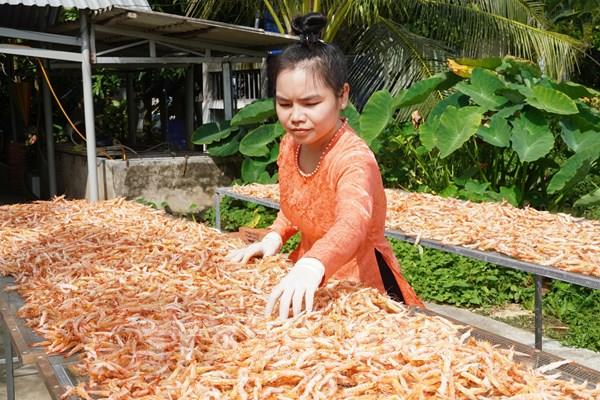 Liên kết vùng tạo lực đẩy cho doanh nghiệp Đồng bằng sông Cửu Long
