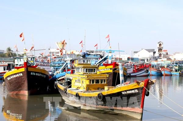 Kết luận của Phó Thủ tướng Trần Hồng Hà tại phiên họp 29 về IUU