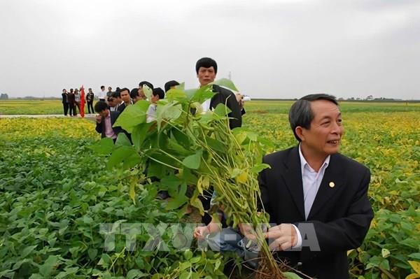 Nông nghiệp Việt Nam từ "trụ đỡ" chiến lược đến kỷ nguyên mới