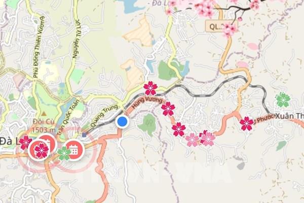 Xây dựng bản đồ cập nhật cho du khách trong Lễ hội hoa mai anh đào - Đà Lạt