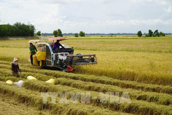 Đồng Tháp đặt mục tiêu GRDP 8–8,5% cho năm bản lề 2026