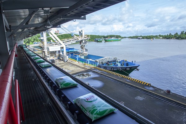 Phân bón Cà Mau vượt “gió ngược” về đích với doanh thu kỷ lục