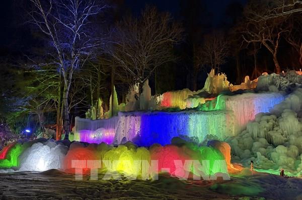 Subzero Forest - Khu rừng băng giá kỳ ảo vùng Hida, Nhật Bản