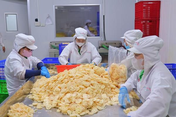 Giữ thị trường cũ, mở cửa mới: Xuất khẩu Đồng Tháp hướng mốc 10 tỷ USD