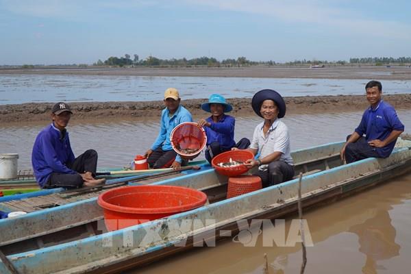 Biến mùa lũ thành "mùa vàng" từ mô hình nuôi cá đồng