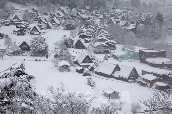 Shirakawago mùa Đông – ngôi làng cổ tích giữa núi rừng Nhật Bản