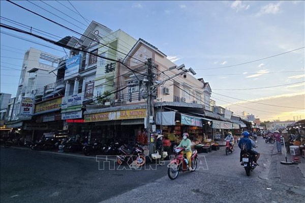 Cà Mau đầu tư hơn 955 tỷ đồng nâng cấp tuyến Đầm Dơi – Cái Nước