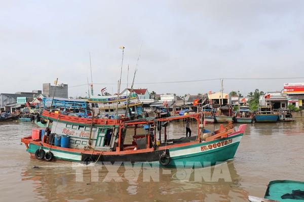 Giữ cửa biển, gỡ thẻ vàng: Vai trò cảng cá Vĩnh Long