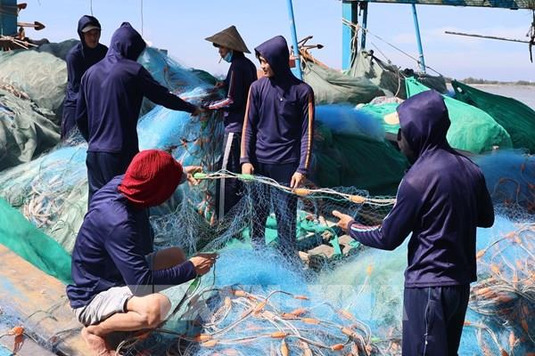 Chủ tàu cá tại TP. Hồ Chí Minh "đỏ mắt” tìm lao động đi biển