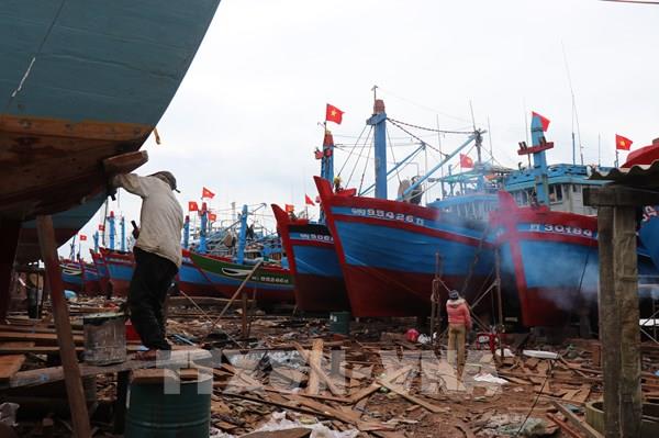 Quảng Ngãi “tiếp sức” cho ngư dân chuyển đổi nghề