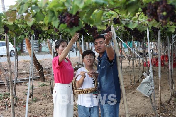 Du lịch Khánh Hòa trong không gian phát triển mới: Biến “khắc nghiệt” thành lợi thế