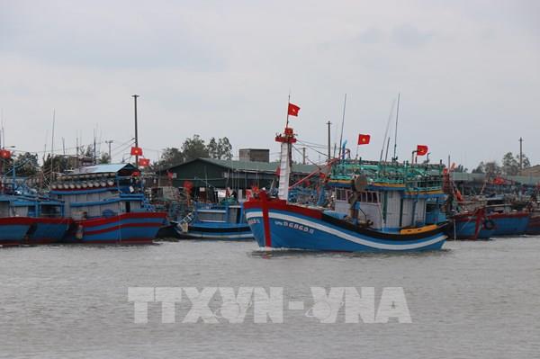 Thủ tướng chỉ đạo lập đoàn kiểm tra chống khai thác hải sản bất hợp pháp, không theo quy định