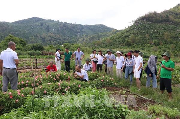 Khánh Hòa quyết tâm đưa “con tàu du lịch” vươn ra biển lớn