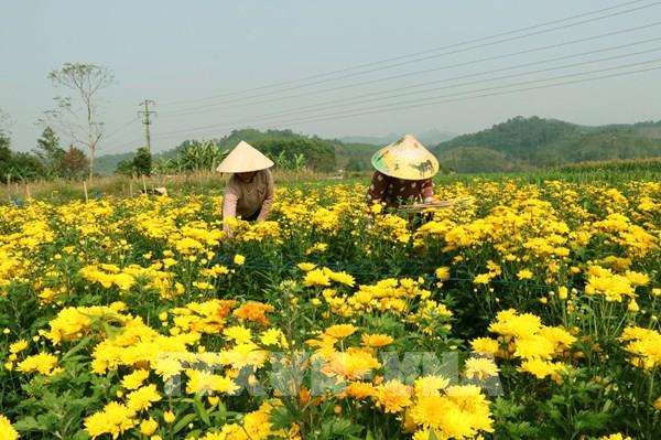 Nhịp sống mới hồi sinh tại vùng lũ trước thềm năm mới