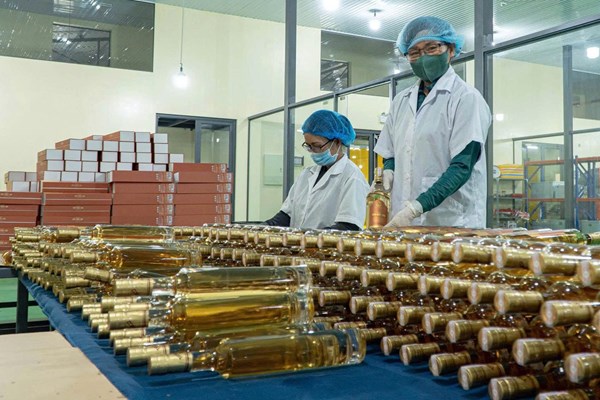 Doanh nghiệp nữ mở rộng không gian phát triển