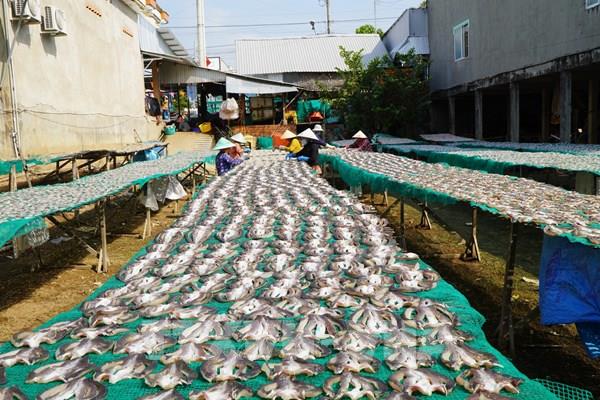 Đồng Tháp: Cá khô Phú Thọ vào mùa cao điểm, đơn hàng tăng mạnh
