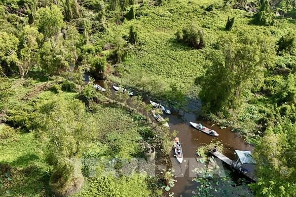 Hoàn thiện dữ liệu rừng để đáp ứng Quy định chống mất rừng của EUDR