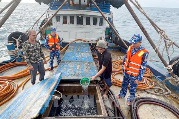 Bắt giữ tàu cá vận chuyển trái phép 100.000 lít dầu D.O trên biển