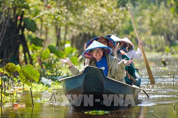 Khám phá rừng tràm đẹp và nổi tiếng nhất Việt Nam