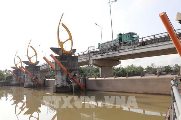 Xâm nhập mặn vào cao điểm, Vĩnh Long kích hoạt "lá chắn" kinh tế