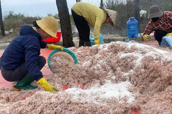 Ngư dân ven biển Quảng Trị trúng đậm “lộc biển” đầu năm