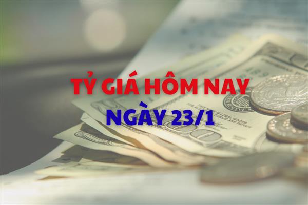 Tỷ giá hôm nay 23/1: Giá USD ổn định, NDT giảm tiếp