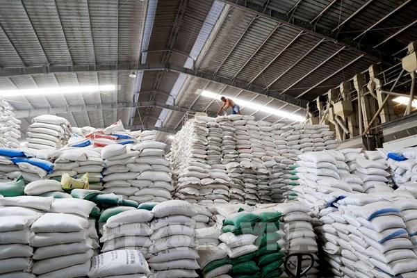 Việt Nam dự kiến có 7,73 triệu tấn gạo hàng hóa cho xuất khẩu năm 2026