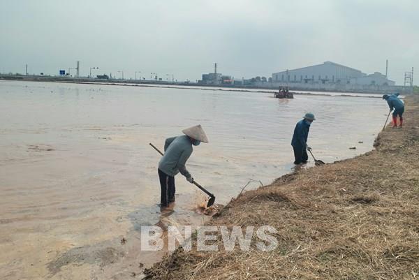 Hơn 259.000 ha vụ Đông Xuân đã đủ nước gieo cấy