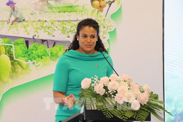 Việt Nam - Hà Lan hợp tác chống xâm nhập mặn tại Đồng bằng sông Cửu Long