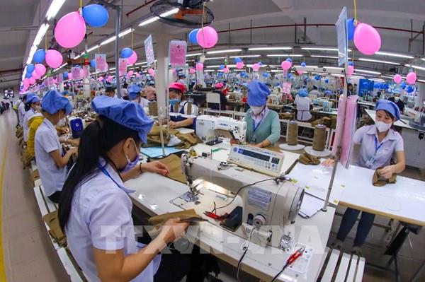 Hàng dệt may, da giày còn nhiều tiềm năng trên "sân nhà"