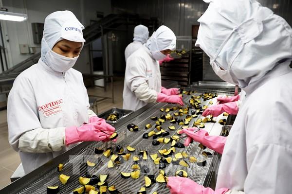 Ngành sản xuất tăng trưởng liên tiếp 7 tháng