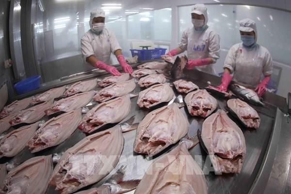 Mở lối cho hàng Việt vào hệ thống phân phối toàn cầu