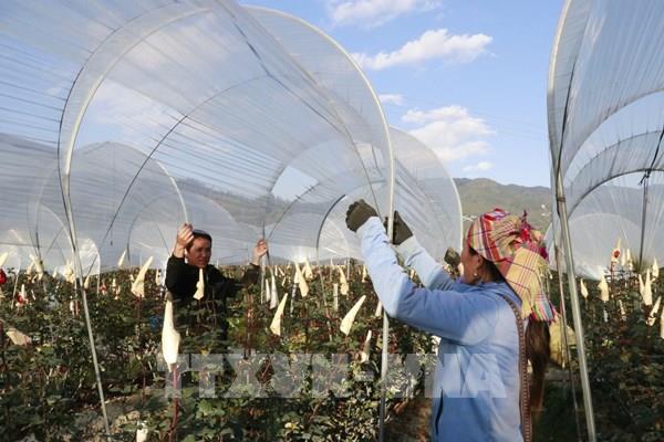 Dự báo thời tiết ngày 4/2: Bắc Bộ nhiều mây, rét sáng sớm, Nam Bộ ngày nắng