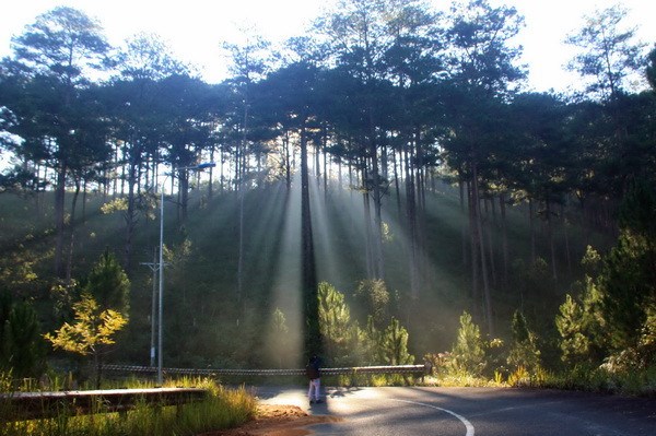 Từ 24/1, miền Bắc ấm dần và duy trì đến hết tháng 1